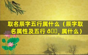 取名辰字五行属什么（辰字取名属性及五行 🕸 属什么）